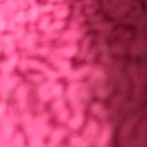 Meet your Posher, Areli